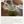 Load image into Gallery viewer, Tea Drunk Every Day Selection