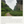 Load image into Gallery viewer, Tea Drunk Every Day Selection