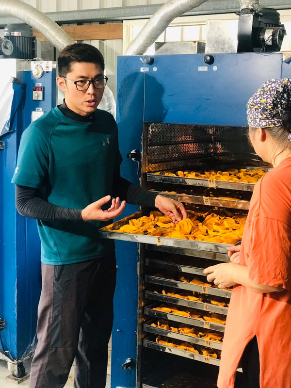 Yunhai Dried Irvin Mango